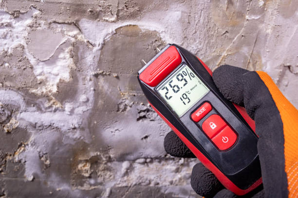 Best HVAC Mold Remediation in Spotsylnia Courthouse, VA
