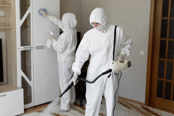 Best Kitchen Mold Remediation in Spotsylnia Courthouse, VA