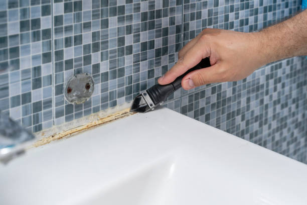 Best Black Mold Remediation in Spotsylnia Courthouse, VA